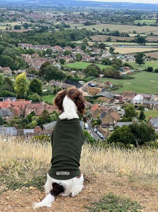 Spaniel Cottage With Views Of Ham Hill, Stoke Sub Hamdon مارتوك المظهر الخارجي الصورة