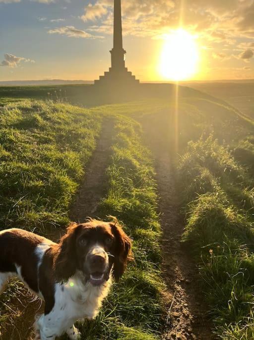 Spaniel Cottage With Views Of Ham Hill, Stoke Sub Hamdon مارتوك المظهر الخارجي الصورة