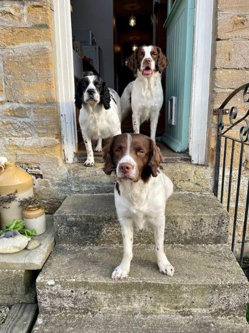 Spaniel Cottage With Views Of Ham Hill, Stoke Sub Hamdon مارتوك المظهر الخارجي الصورة