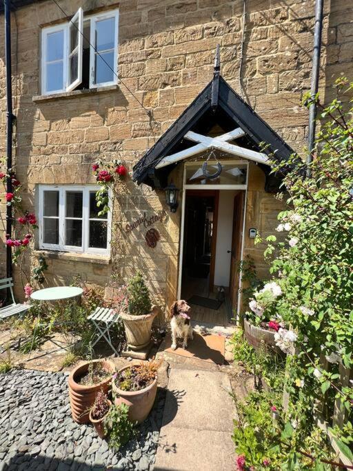 Spaniel Cottage With Views Of Ham Hill, Stoke Sub Hamdon مارتوك المظهر الخارجي الصورة