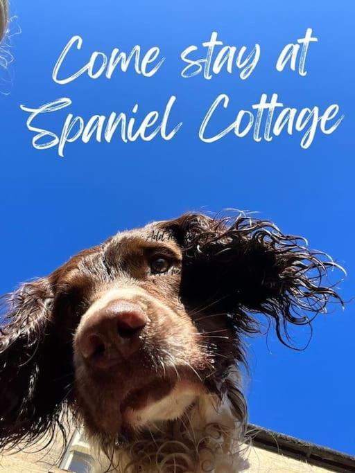Spaniel Cottage With Views Of Ham Hill, Stoke Sub Hamdon مارتوك المظهر الخارجي الصورة