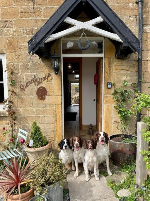 Spaniel Cottage With Views Of Ham Hill, Stoke Sub Hamdon مارتوك المظهر الخارجي الصورة